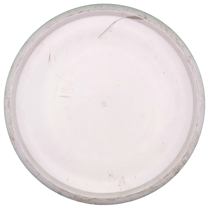 Discmania P-line P1 Team Stamp