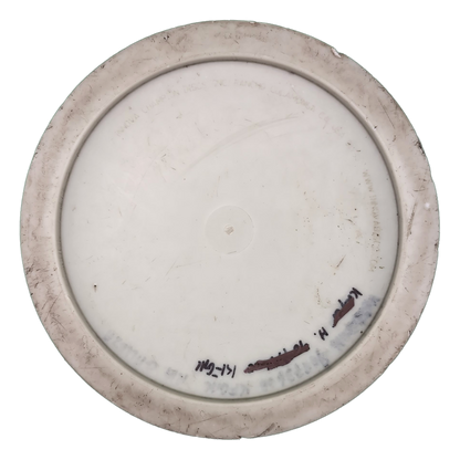Discmania D-Line TD (Innova) RUSH