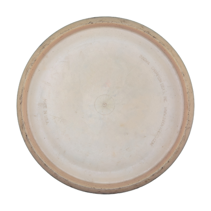 Discmania S-line P2 (Innova-Made)