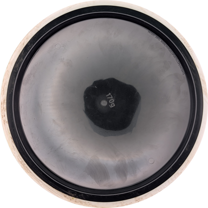 MVP R2 Neutron Resistor
