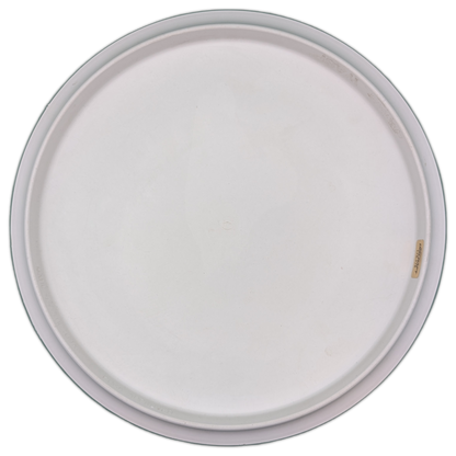 Discraft CT Wasp McBeth Mini Stamp