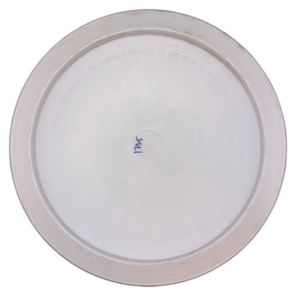 Innova INNfuse Star Eagle
